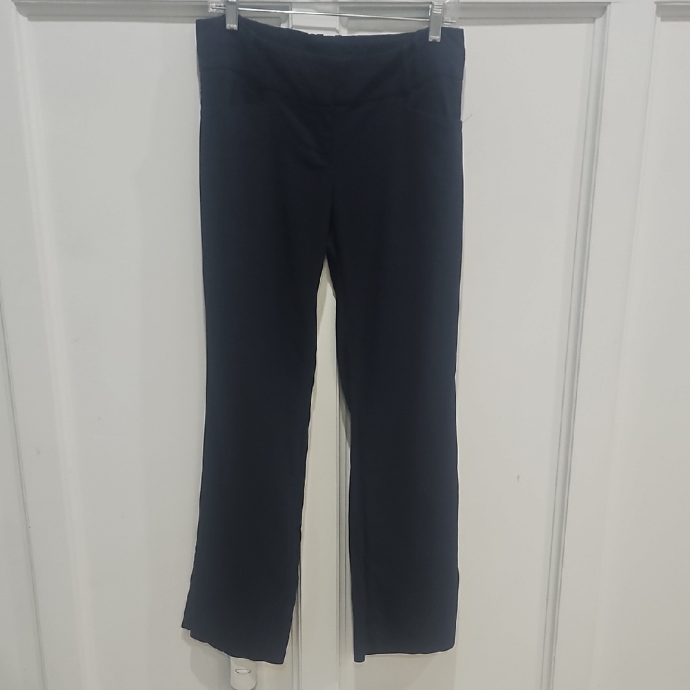 The Limited Exact Stretch Pants, Navy, 8 Short